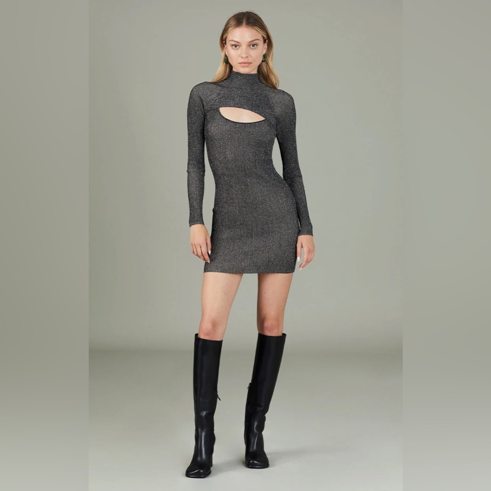 NWOT ALIX NYC Carder mini dress size S